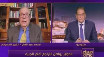 انتعاش الجنيه.. خفض أسعار الفائدة يدعم زيادة معدلات الإنتاج المحلي في مصر